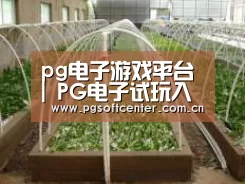 环境展示五