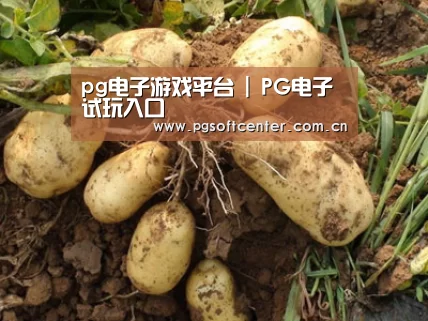 种植基地六