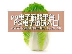 产品名称一