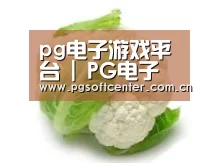产品名称九