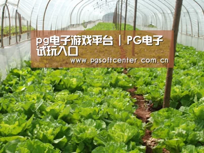 种植基地五