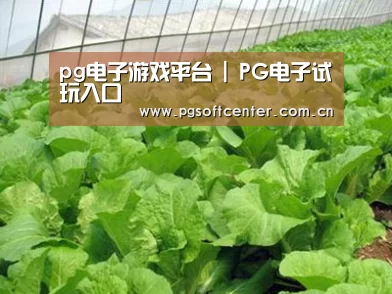 种植基地一