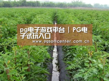 种植基地三
