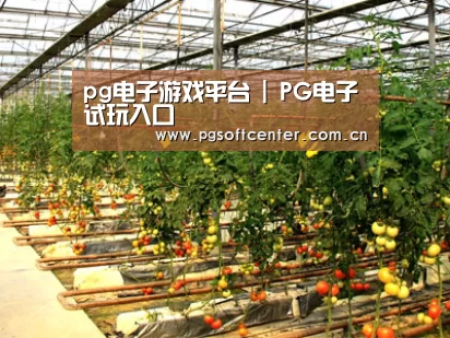 种植基地二