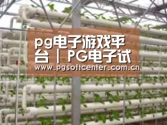 环境展示六