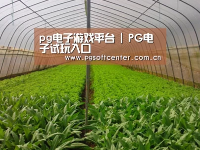 种植基地四