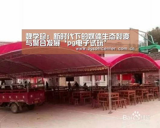 魏学珍:新时代下的媒体生态裂变与聚合发展‘pg电子试玩’(图4) pg电子试玩