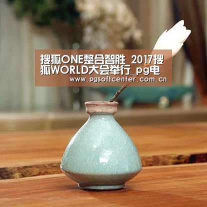 搜狐ONE整合智胜 2017搜狐WORLD大会举行_pg电子模拟器官网(图1) PG Soft