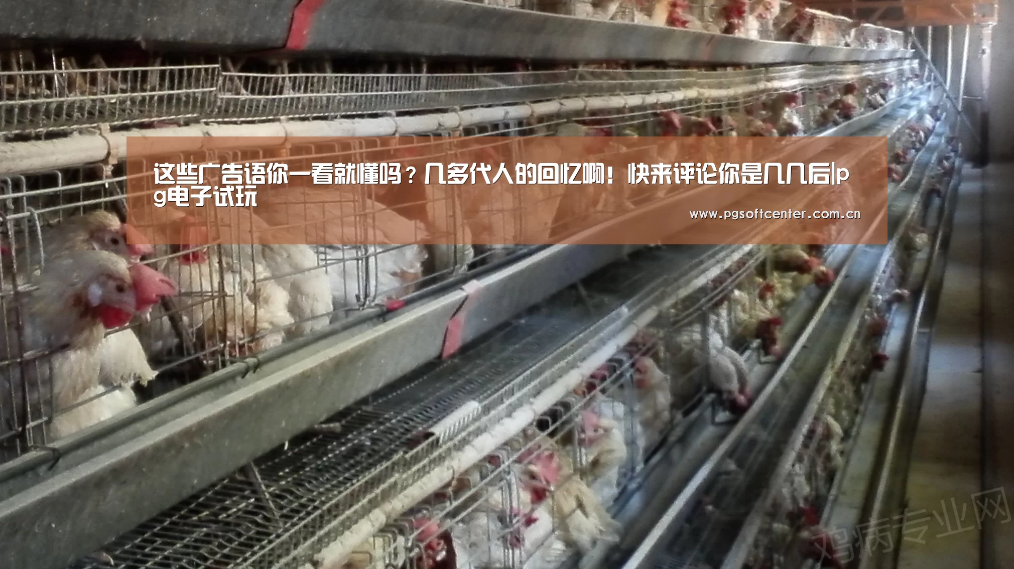 这些广告语你一看就懂吗?几多代人的回忆啊!快来评论你是几几后|pg电子试玩(图2) pg电子