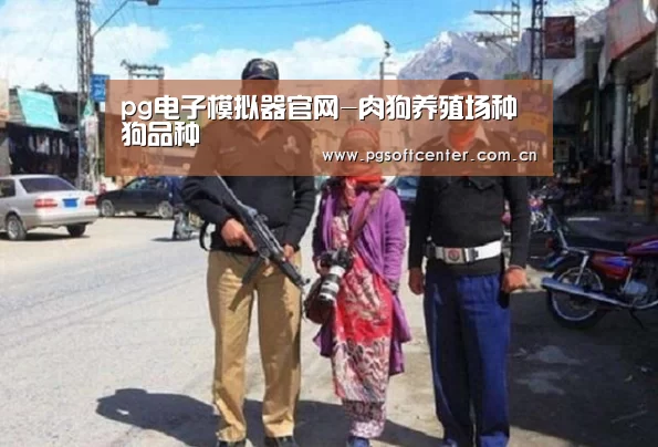 pg电子模拟器官网-肉狗养殖场种狗品种(图1) PG Soft