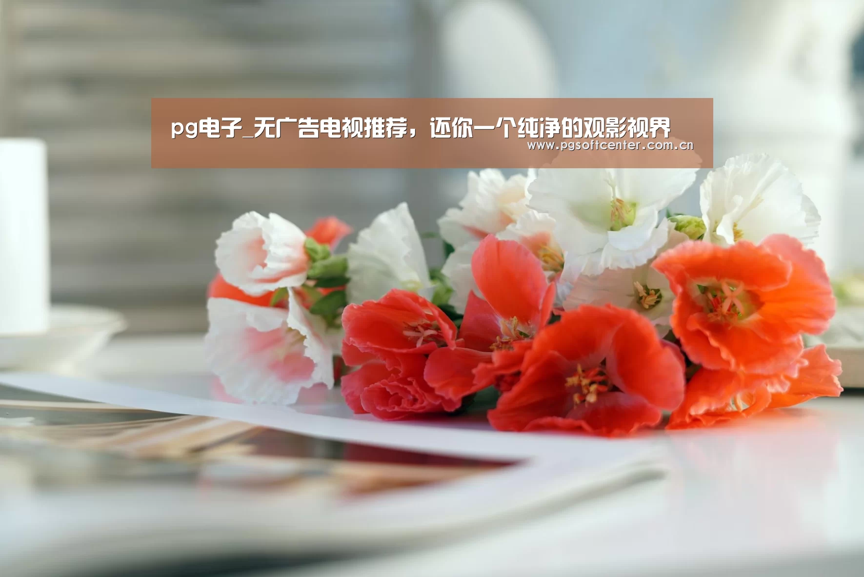 pg电子_无广告电视推荐,还你一个纯净的观影视界(图1) pg电子试玩