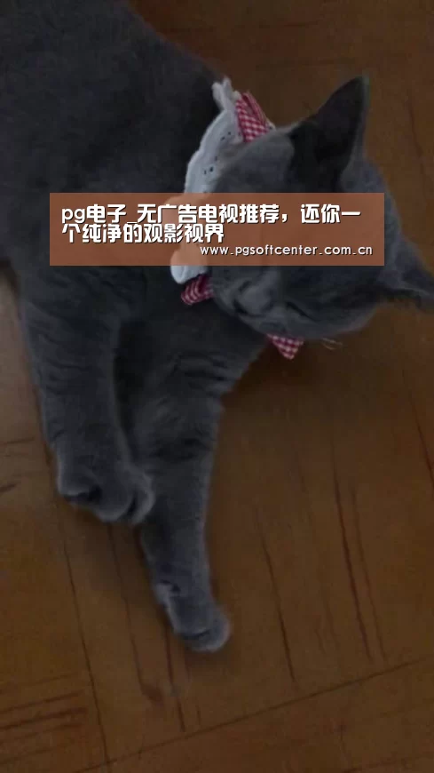 pg电子_无广告电视推荐,还你一个纯净的观影视界(图2) pg电子试玩