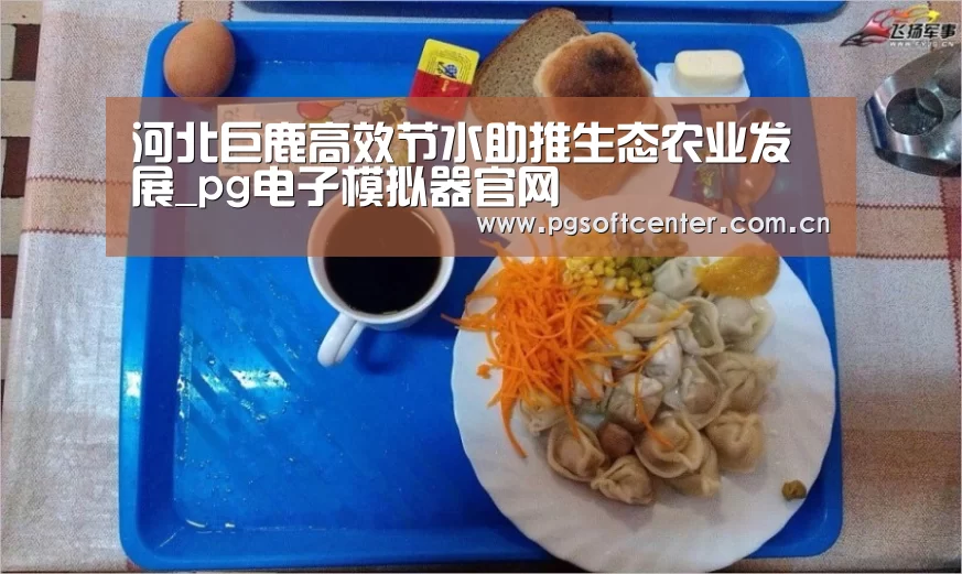 pg电子试玩